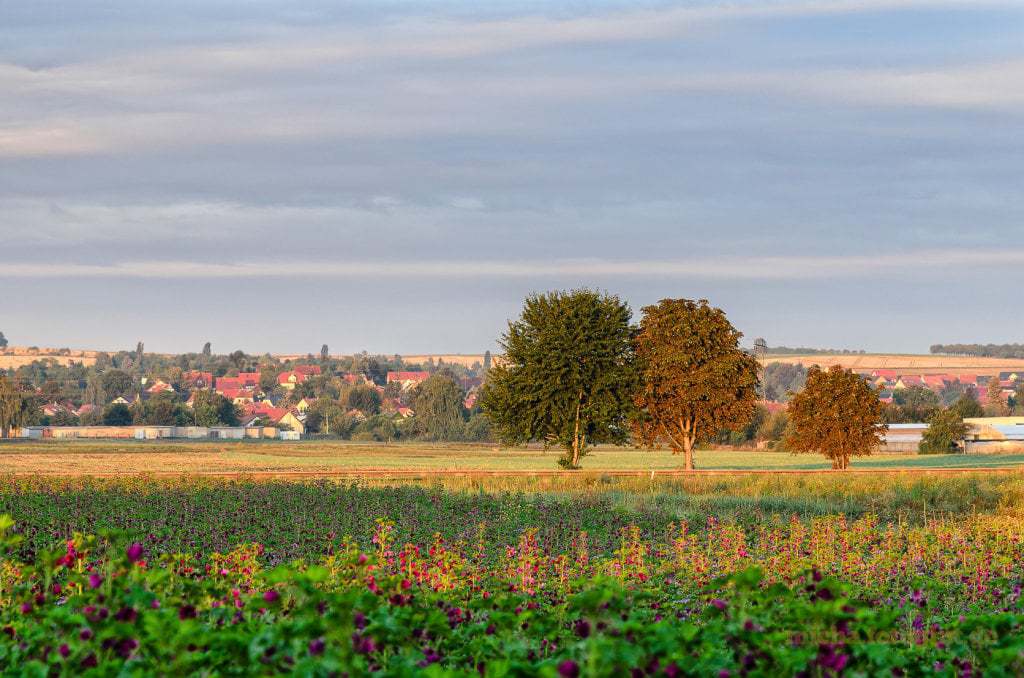 Familienausflug