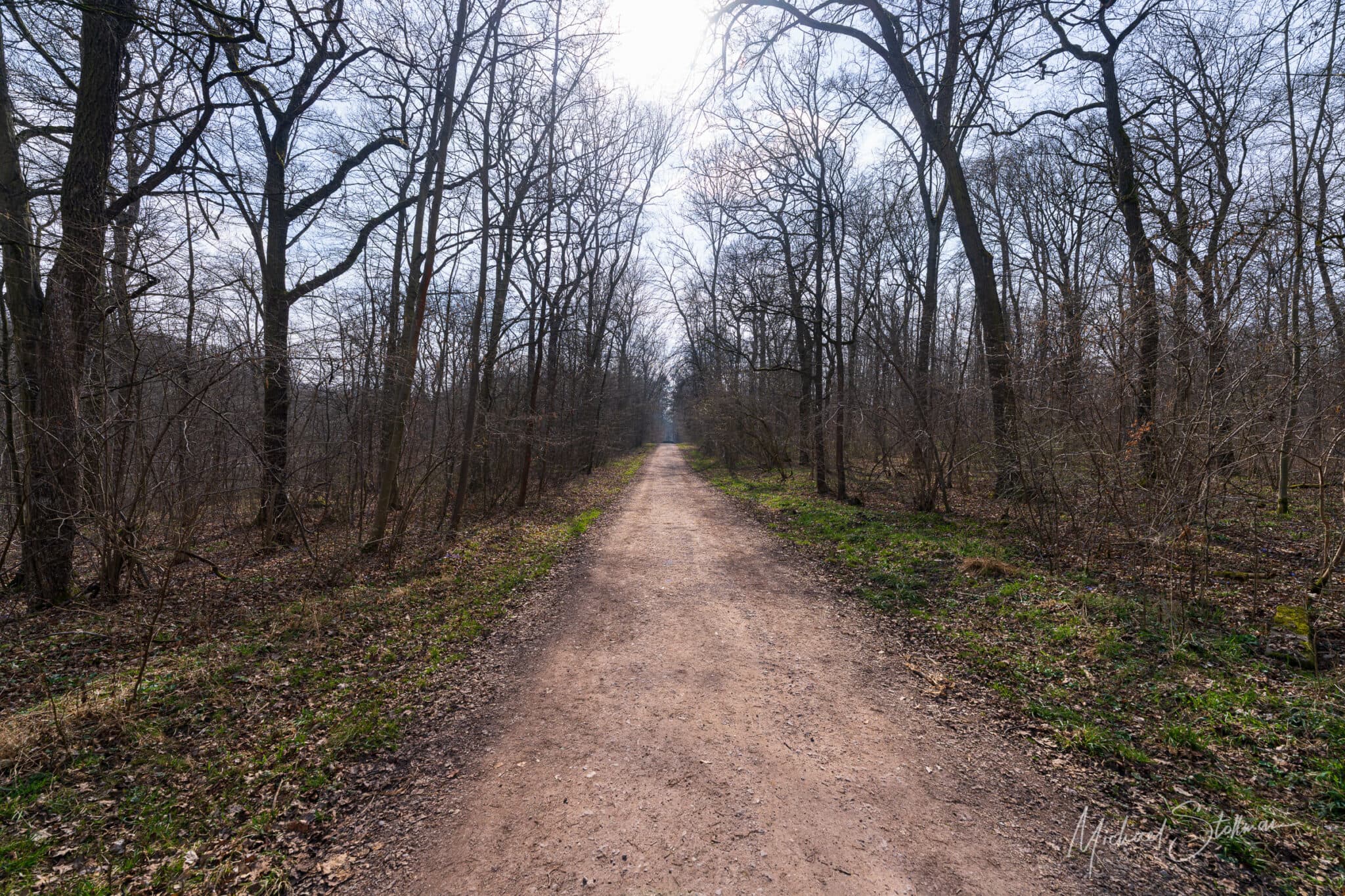 Immer der Sonne entgegen - © Michael Stollmann