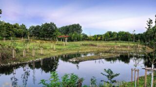 Gera Aue - © FotoGlut - Michael Stollmann