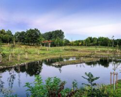 Neugestalteter Bereich an der Gera Aue höhe Strasse der Nationen. - Tech Specs: NIKON D7000 - Tamron 17.0-50.0 mm f/2.8 - Brennweite / 35mm: - mit - <a href="https://wanderstruck.de">© FotoGlut - Michael Stollmann</a> Gera Aue - © FotoGlut - Michael Stollmann