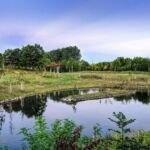 Gera Aue - © FotoGlut - Michael Stollmann