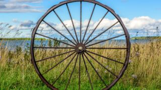 Julia Bay - © FotoGlut - Michael Stollmann