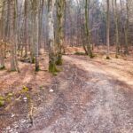 Wanderung entlang des Burgenweges von Kinding aus im Altmühltal. - Tech Specs: NIKON D810 - TAMRON SP 24-70mm F2.8 Di VC USD A007N - Brennweite / 35mm: 30 mm - 1/50 Sek. bei ƒ / 8,0 mit ISO 400 - <a href="https://wanderstruck.de">© FotoGlut - Michael Stollmann</a> Burgenweg Kinding - © FotoGlut - Michael Stollmann
