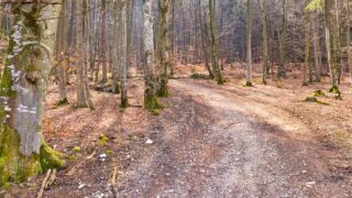 Burgenweg Kinding - © FotoGlut - Michael Stollmann