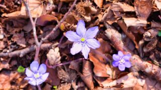 Burgenweg Kinding - © FotoGlut - Michael Stollmann