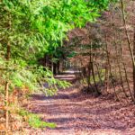 Wanderung entlang des Burgenweges von Kinding aus im Altmühltal. - Tech Specs: NIKON D810 - TAMRON SP 24-70mm F2.8 Di VC USD A007N - Brennweite / 35mm: 65 mm - 1/40 Sek. bei ƒ / 8,0 mit ISO 400 - <a href="https://wanderstruck.de">© FotoGlut - Michael Stollmann</a> Burgenweg Kinding - © FotoGlut - Michael Stollmann