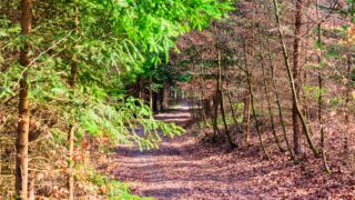Burgenweg Kinding - © FotoGlut - Michael Stollmann