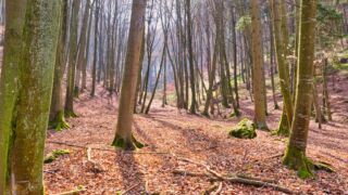 Burgenweg Kinding - © FotoGlut - Michael Stollmann