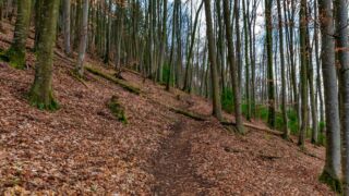 Burgenweg Kinding - © FotoGlut - Michael Stollmann