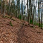 Aufstieg zum Felsentor - sieht harmloser aus, als es ist auf dem Foto :-) - Wanderung entlang des Burgenweges von Kinding aus im Altmühltal. - Tech Specs: NIKON D810 - TAMRON SP 24-70mm F2.8 Di VC USD A007N - Brennweite / 35mm: 30 mm - 1/125 Sek. bei ƒ / 8,0 mit ISO 400 - <a href="https://wanderstruck.de">© FotoGlut - Michael Stollmann</a> Burgenweg Kinding - © FotoGlut - Michael Stollmann