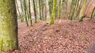 Burgenweg Kinding - © FotoGlut - Michael Stollmann