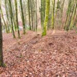 Wanderung entlang des Burgenweges von Kinding aus im Altmühltal. - Tech Specs: NIKON D810 - TAMRON SP 24-70mm F2.8 Di VC USD A007N - Brennweite / 35mm: 24 mm - 1/30 Sek. bei ƒ / 8,0 mit ISO 400 - <a href="">© FotoGlut - Michael Stollmann</a> Burgenweg Kinding - © FotoGlut - Michael Stollmann