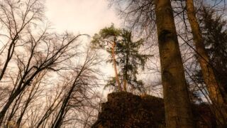 Burgenweg Kinding - © FotoGlut - Michael Stollmann