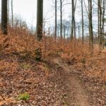 Wanderung entlang des Burgenweges von Kinding aus im Altmühltal. - Tech Specs: NIKON D810 - TAMRON SP 24-70mm F2.8 Di VC USD A007N - Brennweite / 35mm: 35 mm - 1/125 Sek. bei ƒ / 8,0 mit ISO 400 - <a href="https://wanderstruck.de">© FotoGlut - Michael Stollmann</a> Burgenweg Kinding - © FotoGlut - Michael Stollmann