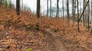 Burgenweg Kinding - © FotoGlut - Michael Stollmann