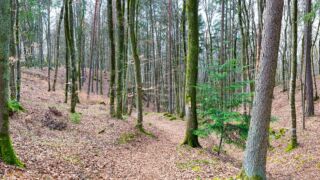 Burgenweg Kinding - © FotoGlut - Michael Stollmann