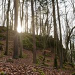 Wanderung entlang des Burgenweges von Kinding aus im Altmühltal. - Tech Specs: NIKON D810 - TAMRON SP 24-70mm F2.8 Di VC USD A007N - Brennweite / 35mm: 36 mm - 1/60 Sek. bei ƒ / 8,0 mit ISO 400 - <a href="https://wanderstruck.de">© FotoGlut - Michael Stollmann</a> Burgenweg Kinding - © FotoGlut - Michael Stollmann