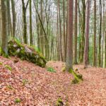 Wanderung entlang des Burgenweges von Kinding aus im Altmühltal. - Tech Specs: NIKON D810 - TAMRON SP 24-70mm F2.8 Di VC USD A007N - Brennweite / 35mm: 36 mm - 1/13 Sek. bei ƒ / 8,0 mit ISO 400 - <a href="https://wanderstruck.de">© FotoGlut - Michael Stollmann</a> Burgenweg Kinding - © FotoGlut - Michael Stollmann