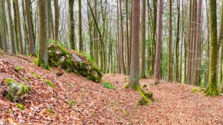 Burgenweg Kinding - © FotoGlut - Michael Stollmann