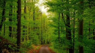 Foto von unserer "2 Türme Wanderung von Kiliansroda" aus. https://stollis.life - Tech Specs: NIKON D810 - TAMRON SP 24-70mm F2.8 Di VC USD A007N - Brennweite / 35mm: 46 mm - 1/100 Sek. bei ƒ / 8,0 mit ISO 400 - <a href="https://wanderstruck.de">© FotoGlut - Michael Stollmann</a> Aufstieg der Hölle - © FotoGlut - Michael Stollmann