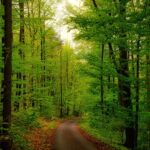 Foto von unserer "2 Türme Wanderung von Kiliansroda" aus. https://stollis.life - Tech Specs: NIKON D810 - TAMRON SP 24-70mm F2.8 Di VC USD A007N - Brennweite / 35mm: 46 mm - 1/100 Sek. bei ƒ / 8,0 mit ISO 400 - <a href="https://wanderstruck.de">© FotoGlut - Michael Stollmann</a> Aufstieg der Hölle - © FotoGlut - Michael Stollmann