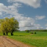 Foto von unserer "2 Türme Wanderung von Kiliansroda" aus. https://stollis.life - Tech Specs: NIKON D810 - TAMRON SP 24-70mm F2.8 Di VC USD A007N - Brennweite / 35mm: 36 mm - 1/500 Sek. bei ƒ / 8,0 mit ISO 200 - <a href="https://wanderstruck.de">© FotoGlut - Michael Stollmann</a> Weggabelung - © FotoGlut - Michael Stollmann