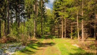 Foto von unserer "2 Türme Wanderung von Kiliansroda" aus. https://stollis.life - Tech Specs: NIKON D810 - TAMRON SP 24-70mm F2.8 Di VC USD A007N - Brennweite / 35mm: 32 mm - 1/800 Sek. bei ƒ / 8,0 mit ISO 1000 - <a href="">© FotoGlut - Michael Stollmann</a> 2 Türme Wanderung - © FotoGlut - Michael Stollmann