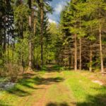 Foto von unserer "2 Türme Wanderung von Kiliansroda" aus. https://stollis.life - Tech Specs: NIKON D810 - TAMRON SP 24-70mm F2.8 Di VC USD A007N - Brennweite / 35mm: 32 mm - 1/800 Sek. bei ƒ / 8,0 mit ISO 1000 - <a href="">© FotoGlut - Michael Stollmann</a> 2 Türme Wanderung - © FotoGlut - Michael Stollmann