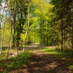 Übergang vom Waldweg auf befestigte Wege - muss das sein? " Foto von unserer "2 Türme Wanderung von Kiliansroda" aus. https://stollis.life - Tech Specs: NIKON D810 - TAMRON SP 24-70mm F2.8 Di VC USD A007N - Brennweite / 35mm: 34 mm - 1/100 Sek. bei ƒ / 8,0 mit ISO 200 - <a href="https://wanderstruck.de">© FotoGlut - Michael Stollmann</a> 2 Türme Wanderung - © FotoGlut - Michael Stollmann