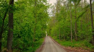 Der Paulinenturm am Horizont " Foto von unserer "2 Türme Wanderung von Kiliansroda" aus. https://stollis.life - Tech Specs: NIKON D810 - TAMRON SP 24-70mm F2.8 Di VC USD A007N - Brennweite / 35mm: 35 mm - 1/60 Sek. bei ƒ / 8,0 mit ISO 200 - <a href="https://wanderstruck.de">© FotoGlut - Michael Stollmann</a> Paulinenturm - © FotoGlut - Michael Stollmann