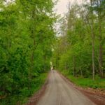 Der Paulinenturm am Horizont " Foto von unserer "2 Türme Wanderung von Kiliansroda" aus. https://stollis.life - Tech Specs: NIKON D810 - TAMRON SP 24-70mm F2.8 Di VC USD A007N - Brennweite / 35mm: 35 mm - 1/60 Sek. bei ƒ / 8,0 mit ISO 200 - <a href="https://wanderstruck.de">© FotoGlut - Michael Stollmann</a> Paulinenturm - © FotoGlut - Michael Stollmann