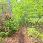 ... muss der andere Weg nicht freier sein. " Foto von unserer "2 Türme Wanderung von Kiliansroda" aus. https://stollis.life - Tech Specs: NIKON D810 - TAMRON SP 24-70mm F2.8 Di VC USD A007N - Brennweite / 35mm: 35 mm - 1/40 Sek. bei ƒ / 8,0 mit ISO 1000 - <a href="https://wanderstruck.de">© FotoGlut - Michael Stollmann</a> Hier entlang ... - © FotoGlut - Michael Stollmann