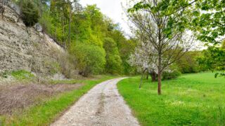 Der letzte Anstieg steht bevor " Foto von unserer "2 Türme Wanderung von Kiliansroda" aus. https://stollis.life - Tech Specs: NIKON D810 - TAMRON SP 24-70mm F2.8 Di VC USD A007N - Brennweite / 35mm: 32 mm - 1/80 Sek. bei ƒ / 8,0 mit ISO 400 - <a href="https://wanderstruck.de">© FotoGlut - Michael Stollmann</a> Richtung Kiliansroda - © FotoGlut - Michael Stollmann