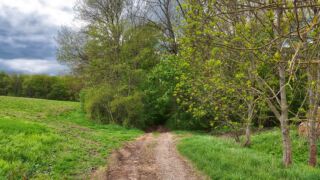 Und der hat es nach ca. 14 KM nochmal in sich. " Foto von unserer "2 Türme Wanderung von Kiliansroda" aus. https://stollis.life - Tech Specs: NIKON D810 - TAMRON SP 24-70mm F2.8 Di VC USD A007N - Brennweite / 35mm: 24 mm - 1/500 Sek. bei ƒ / 8,0 mit ISO 400 - <a href="https://wanderstruck.de">© FotoGlut - Michael Stollmann</a> das war der letzte Anstieg - © FotoGlut - Michael Stollmann