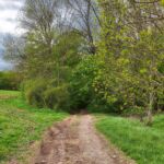 Und der hat es nach ca. 14 KM nochmal in sich. " Foto von unserer "2 Türme Wanderung von Kiliansroda" aus. https://stollis.life - Tech Specs: NIKON D810 - TAMRON SP 24-70mm F2.8 Di VC USD A007N - Brennweite / 35mm: 24 mm - 1/500 Sek. bei ƒ / 8,0 mit ISO 400 - <a href="https://wanderstruck.de">© FotoGlut - Michael Stollmann</a> das war der letzte Anstieg - © FotoGlut - Michael Stollmann