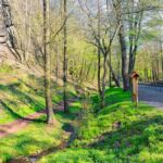 Rundwanderung von Mariental durch die Drachen.- und Landgrafenschlucht " stollis.life - Tech Specs: NIKON D810 - TAMRON SP 24-70mm F2.8 Di VC USD A007N - Brennweite / 35mm: 24 mm - 1/80 Sek. bei ƒ / 8,0 mit ISO 400 - <a href="https://wanderstruck.de">© FotoGlut - Michael Stollmann</a> Drachenschlucht - © FotoGlut - Michael Stollmann