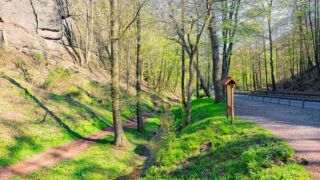 Rundwanderung von Mariental durch die Drachen.- und Landgrafenschlucht " stollis.life - Tech Specs: NIKON D810 - TAMRON SP 24-70mm F2.8 Di VC USD A007N - Brennweite / 35mm: 24 mm - 1/80 Sek. bei ƒ / 8,0 mit ISO 400 - <a href="https://wanderstruck.de">© FotoGlut - Michael Stollmann</a> Drachenschlucht - © FotoGlut - Michael Stollmann