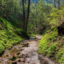 Rundwanderung von Mariental durch die Drachen.- und Landgrafenschlucht " stollis.life - Tech Specs: NIKON D810 - TAMRON SP 24-70mm F2.8 Di VC USD A007N - Brennweite / 35mm: 36 mm - 1/1250 Sek. bei ƒ / 8,0 mit ISO 1600 - <a href="">© FotoGlut - Michael Stollmann</a> Drachenschlucht - © FotoGlut - Michael Stollmann