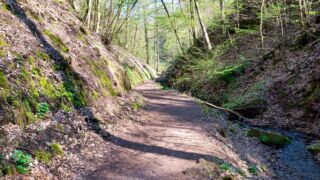 Rundwanderung von Mariental durch die Drachen.- und Landgrafenschlucht " stollis.life - Tech Specs: NIKON D810 - TAMRON SP 24-70mm F2.8 Di VC USD A007N - Brennweite / 35mm: 36 mm - 1/60 Sek. bei ƒ / 8,0 mit ISO 400 - <a href="">© FotoGlut - Michael Stollmann</a> Drachenschlucht - © FotoGlut - Michael Stollmann