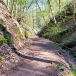 Rundwanderung von Mariental durch die Drachen.- und Landgrafenschlucht " stollis.life - Tech Specs: NIKON D810 - TAMRON SP 24-70mm F2.8 Di VC USD A007N - Brennweite / 35mm: 36 mm - 1/60 Sek. bei ƒ / 8,0 mit ISO 400 - <a href="">© FotoGlut - Michael Stollmann</a> Drachenschlucht - © FotoGlut - Michael Stollmann