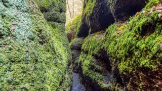 Rundwanderung von Mariental durch die Drachen.- und Landgrafenschlucht " stollis.life - Tech Specs: NIKON D810 - TAMRON SP 24-70mm F2.8 Di VC USD A007N - Brennweite / 35mm: 35 mm - 1/25 Sek. bei ƒ / 8,0 mit ISO 800 - <a href="https://wanderstruck.de">© FotoGlut - Michael Stollmann</a> Drachenschlucht - © FotoGlut - Michael Stollmann