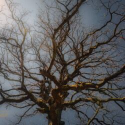 Rundwanderung von Mariental durch die Drachen.- und Landgrafenschlucht " stollis.life - Tech Specs: NIKON D810 - TAMRON SP 24-70mm F2.8 Di VC USD A007N - Brennweite / 35mm: 24 mm - 1/200 Sek. bei ƒ / 8,0 mit ISO 200 - <a href="https://wanderstruck.de">© FotoGlut - Michael Stollmann</a> Landgrafenschlucht - © FotoGlut - Michael Stollmann