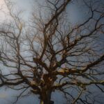 Rundwanderung von Mariental durch die Drachen.- und Landgrafenschlucht " stollis.life - Tech Specs: NIKON D810 - TAMRON SP 24-70mm F2.8 Di VC USD A007N - Brennweite / 35mm: 24 mm - 1/200 Sek. bei ƒ / 8,0 mit ISO 200 - <a href="https://wanderstruck.de">© FotoGlut - Michael Stollmann</a> Landgrafenschlucht - © FotoGlut - Michael Stollmann