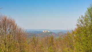 Rundwanderung von Mariental durch die Drachen.- und Landgrafenschlucht " stollis.life - Tech Specs: NIKON D810 - TAMRON SP 24-70mm F2.8 Di VC USD A007N - Brennweite / 35mm: 70 mm - 1/250 Sek. bei ƒ / 8,0 mit ISO 200 - <a href="">© FotoGlut - Michael Stollmann</a> Marienblick zur Wartburg - © FotoGlut - Michael Stollmann