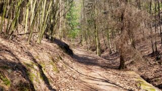 Rundwanderung von Mariental durch die Drachen.- und Landgrafenschlucht " stollis.life - Tech Specs: NIKON D810 - TAMRON SP 24-70mm F2.8 Di VC USD A007N - Brennweite / 35mm: 35 mm - 1/80 Sek. bei ƒ / 8,0 mit ISO 200 - <a href="https://wanderstruck.de">© FotoGlut - Michael Stollmann</a> Landgrafenschlucht - © FotoGlut - Michael Stollmann