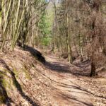 Rundwanderung von Mariental durch die Drachen.- und Landgrafenschlucht " stollis.life - Tech Specs: NIKON D810 - TAMRON SP 24-70mm F2.8 Di VC USD A007N - Brennweite / 35mm: 35 mm - 1/80 Sek. bei ƒ / 8,0 mit ISO 200 - <a href="https://wanderstruck.de">© FotoGlut - Michael Stollmann</a> Landgrafenschlucht - © FotoGlut - Michael Stollmann