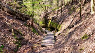Rundwanderung von Mariental durch die Drachen.- und Landgrafenschlucht " stollis.life - Tech Specs: NIKON D810 - TAMRON SP 24-70mm F2.8 Di VC USD A007N - Brennweite / 35mm: 34 mm - 1/30 Sek. bei ƒ / 8,0 mit ISO 200 - <a href="https://wanderstruck.de">© FotoGlut - Michael Stollmann</a> Landgrafenschlucht - © FotoGlut - Michael Stollmann