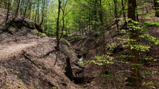 Rundwanderung von Mariental durch die Drachen.- und Landgrafenschlucht " stollis.life - Tech Specs: NIKON D810 - TAMRON SP 24-70mm F2.8 Di VC USD A007N - Brennweite / 35mm: 35 mm - 1/60 Sek. bei ƒ / 8,0 mit ISO 200 - <a href="https://wanderstruck.de">© FotoGlut - Michael Stollmann</a> Landgrafenschlucht - © FotoGlut - Michael Stollmann