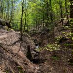 Rundwanderung von Mariental durch die Drachen.- und Landgrafenschlucht " stollis.life - Tech Specs: NIKON D810 - TAMRON SP 24-70mm F2.8 Di VC USD A007N - Brennweite / 35mm: 35 mm - 1/60 Sek. bei ƒ / 8,0 mit ISO 200 - <a href="https://wanderstruck.de">© FotoGlut - Michael Stollmann</a> Landgrafenschlucht - © FotoGlut - Michael Stollmann