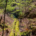 Rundwanderung von Mariental durch die Drachen.- und Landgrafenschlucht " stollis.life - Tech Specs: NIKON D810 - TAMRON SP 24-70mm F2.8 Di VC USD A007N - Brennweite / 35mm: 34 mm - 1/100 Sek. bei ƒ / 8,0 mit ISO 200 - <a href="https://wanderstruck.de">© FotoGlut - Michael Stollmann</a> Landgrafenschlucht - © FotoGlut - Michael Stollmann